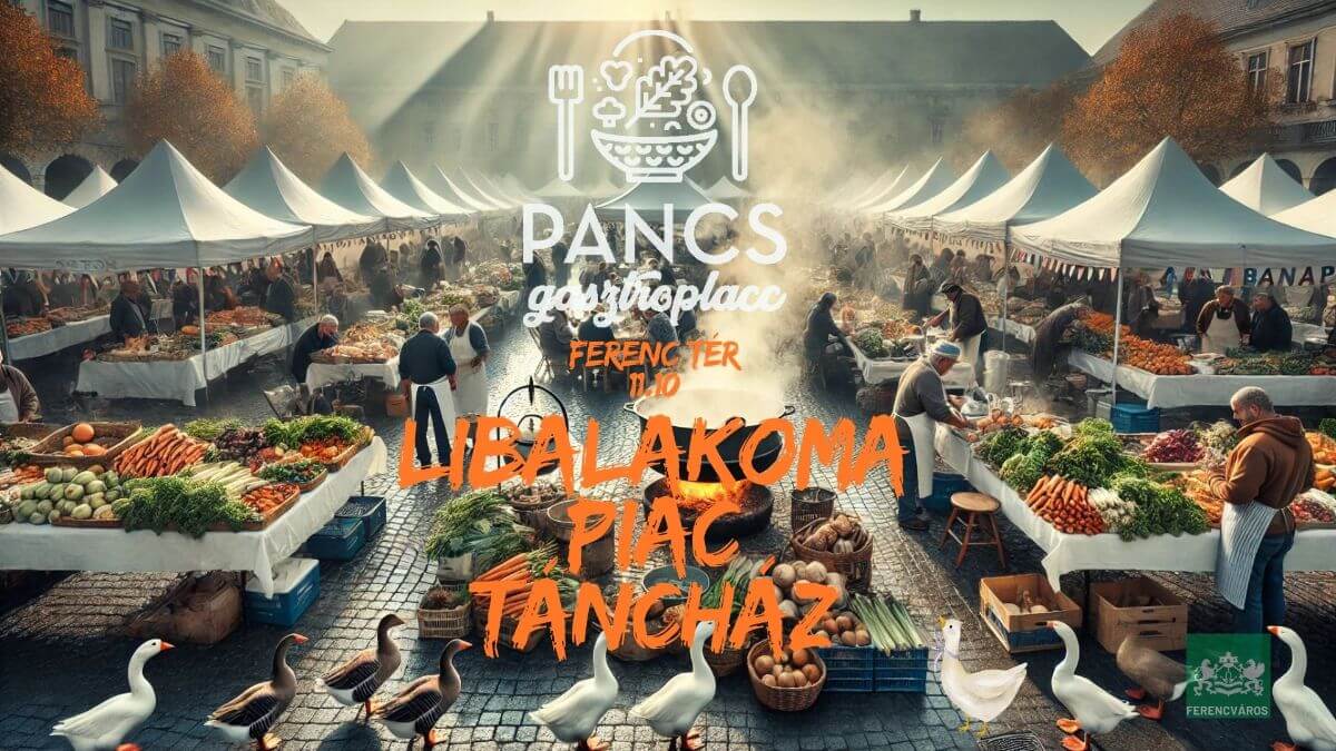 Pancs Gasztroplacc