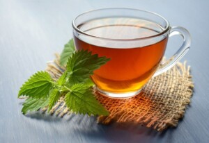 frissen gyűjtött gyógynövényből tea